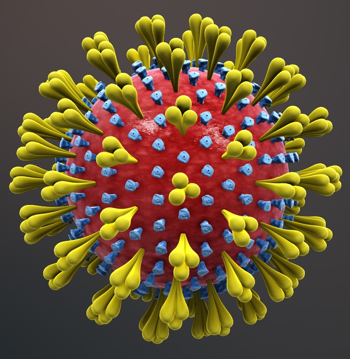 corona virus