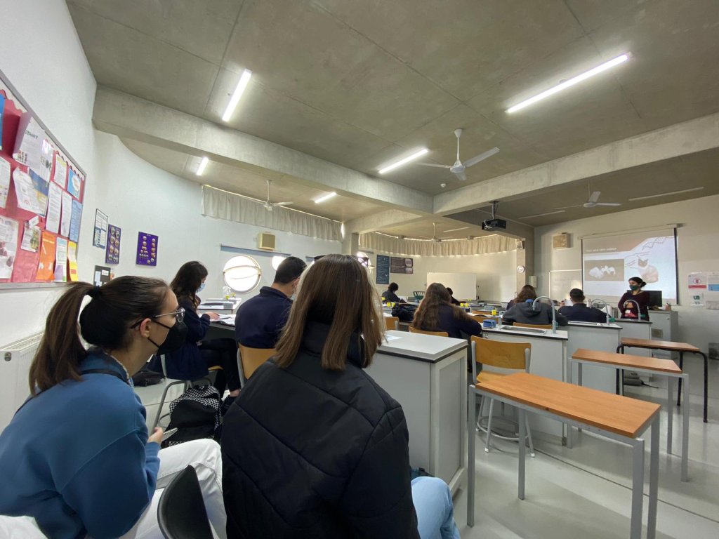 Job Shadowing in Nicosia (Cipro)