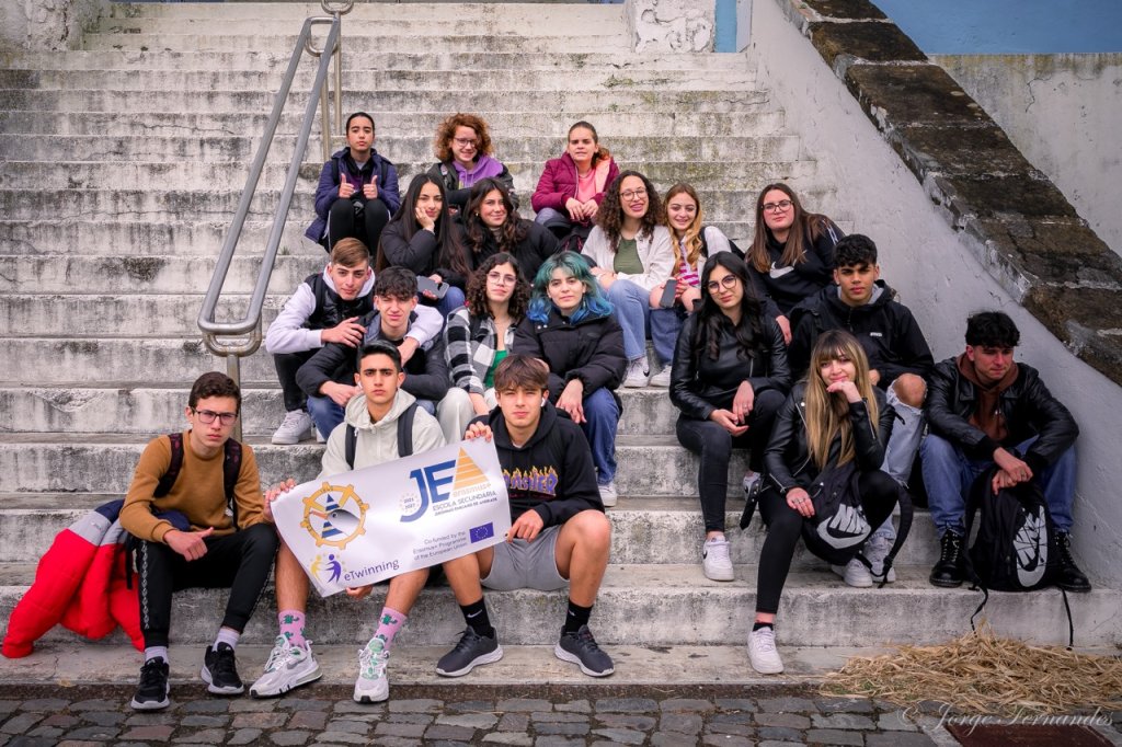 Group School mobility in Azores