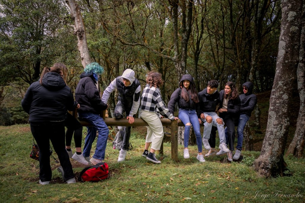 Group School mobility in Azores
