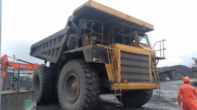 Vet Learners in Belgio