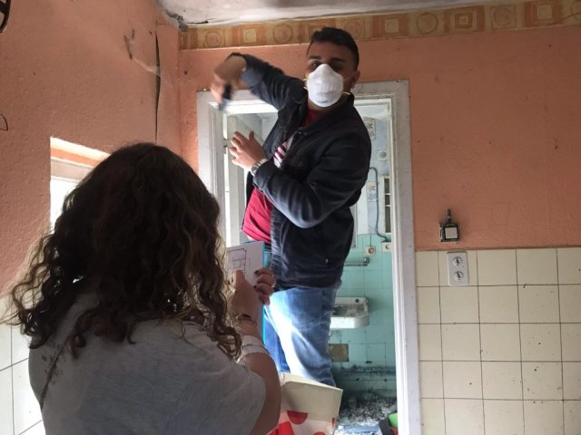 Vet Learners in Belgio