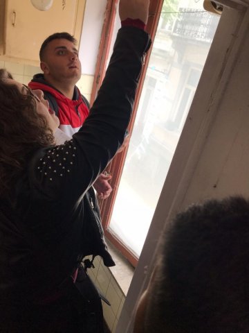 Vet Learners in Belgio