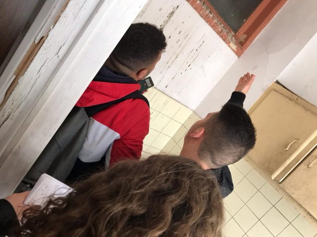 Vet Learners in Belgio