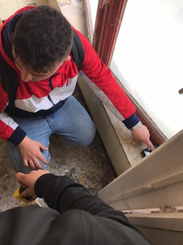 Vet Learners in Belgio