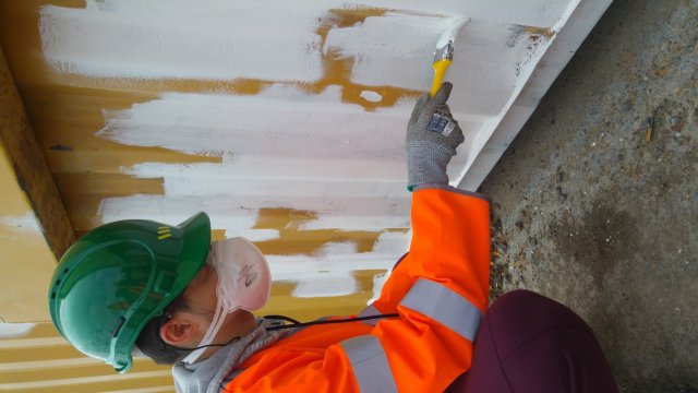 Vet Learners in Irlanda