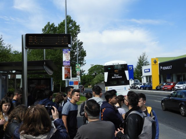 Vet Learners in Irlanda