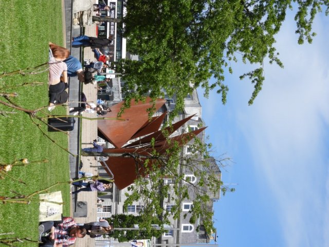 Vet Learners in Irlanda