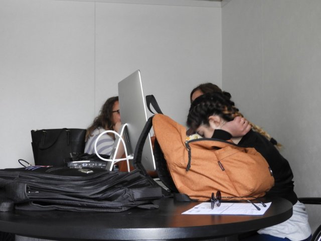 Vet Learners in Irlanda