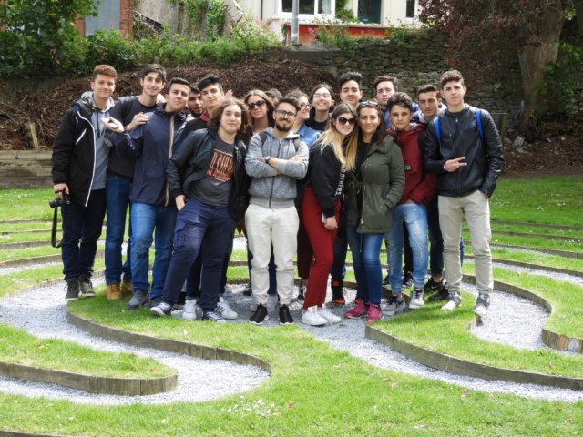 Vet Learners in Irlanda