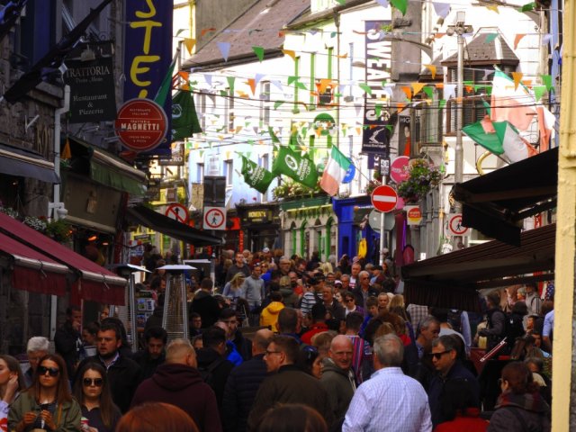 Vet Learners in Irlanda