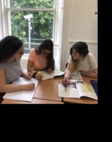 Vet Learners in Irlanda