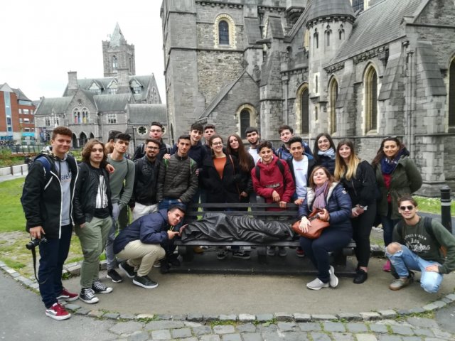 Vet Learners in Irlanda