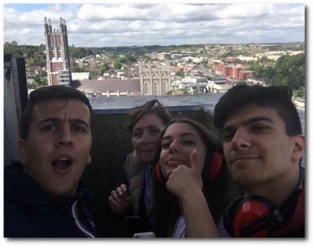 Vet Learners in Irlanda