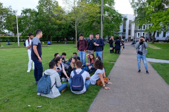 Vet Learners in Irlanda