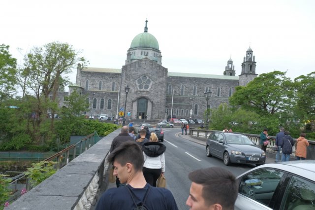 Vet Learners in Irlanda