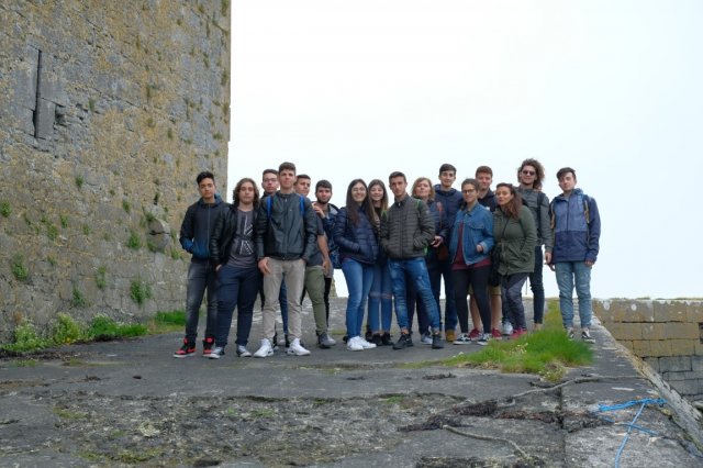 Vet Learners in Irlanda