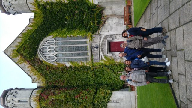 Vet Staff in Irlanda