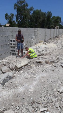 Vet Learners in Malta - CAT