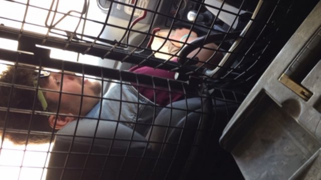 Vet Learners in Malta - CAT