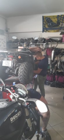 Vet Learners in Malta - ELE